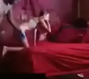 doggy pounding marissa pt 1 1733492009